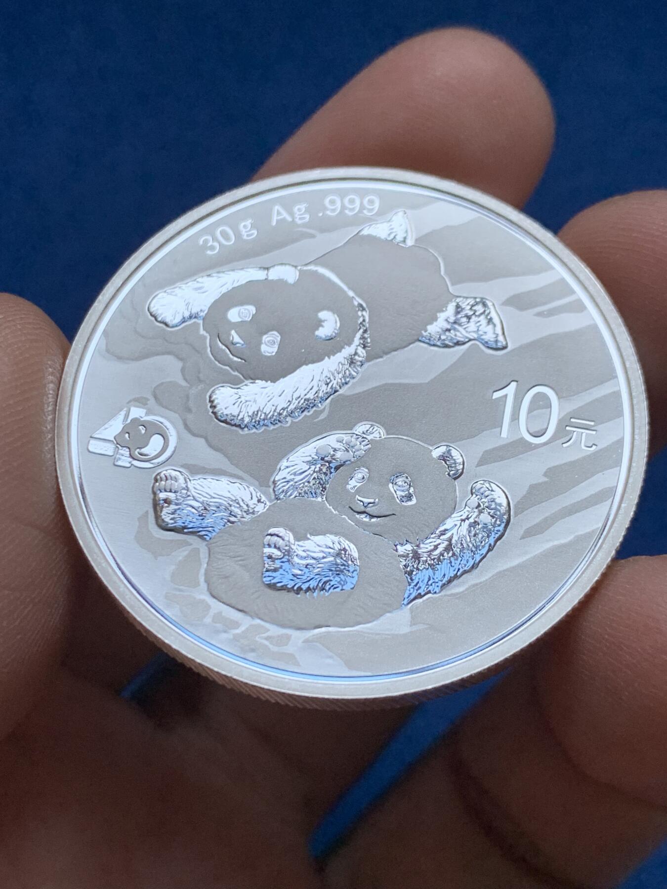 《竞宝斋》第442场 周日，周一，2场连拍 （全场包邮） 2022年大熊猫10元银币 30克 999银 细节见图