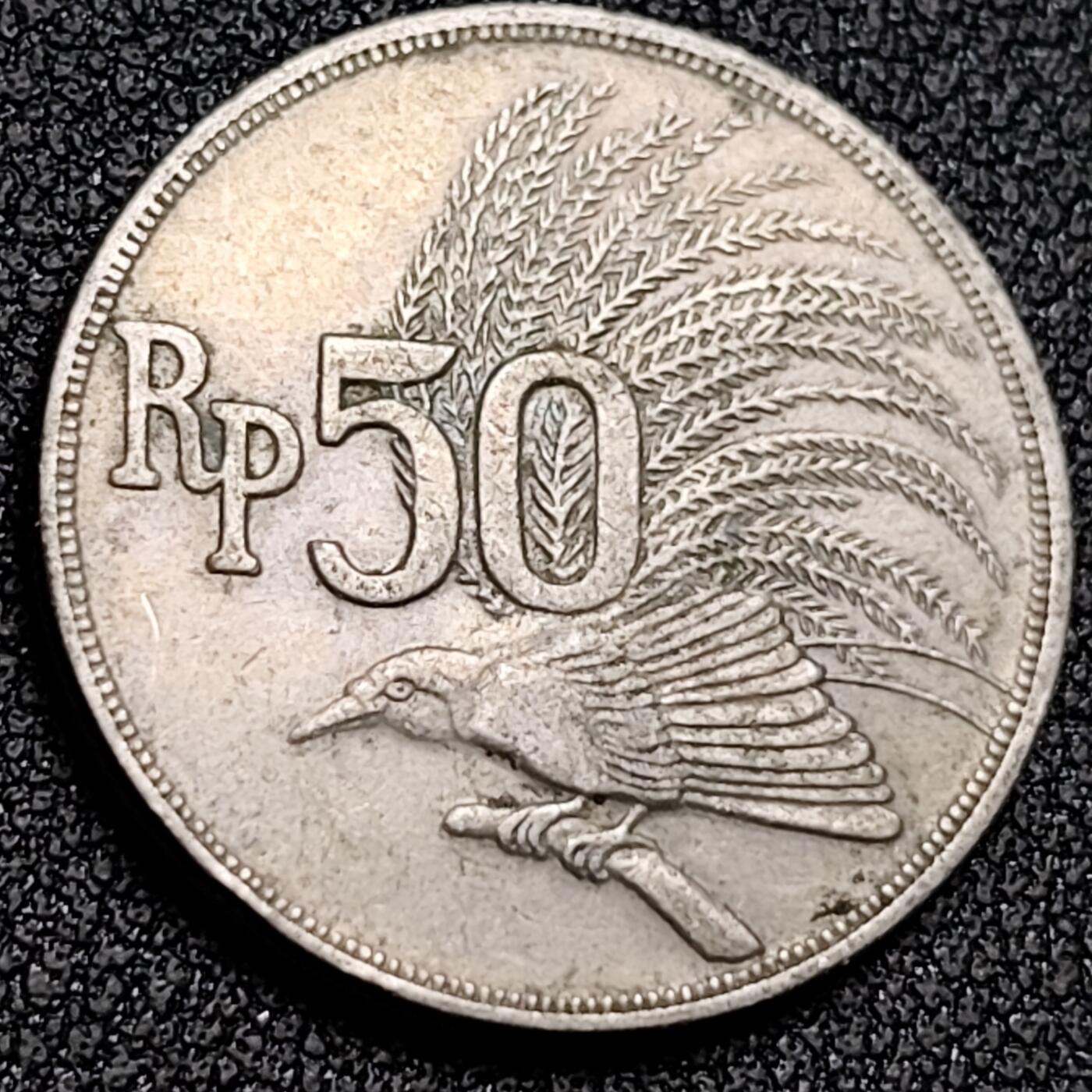 泉币菌-第136场-精品福利场（之前场次29日、30日发货，敬请谅解） 。