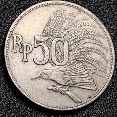 泉币菌-第136场-精品福利场（之前场次29日、30日发货，敬请谅解） - 。