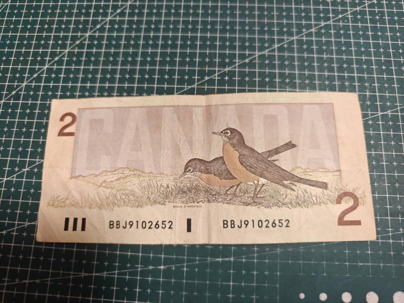 轻松集币无压力 加拿大鸟版元