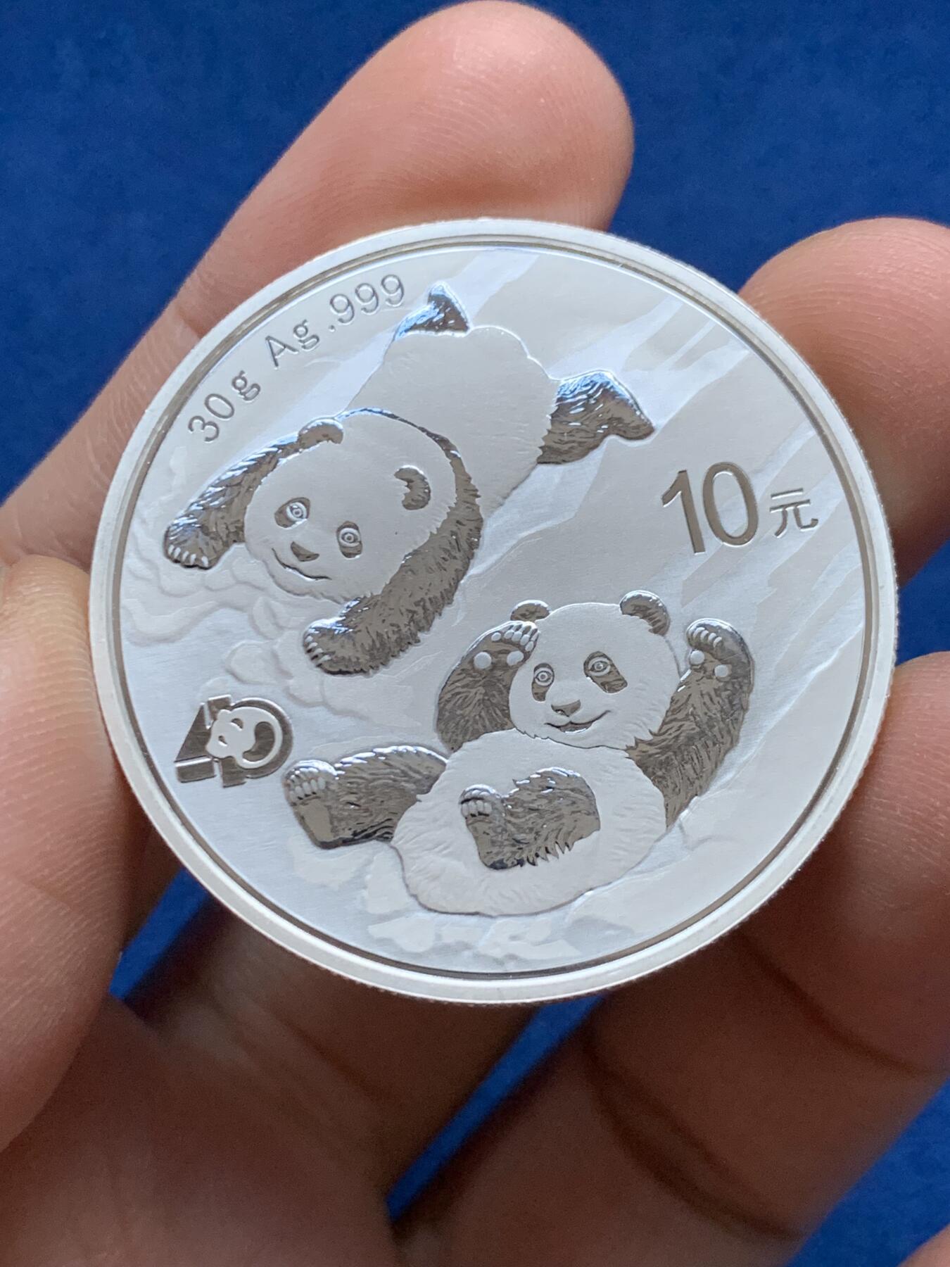 《竞宝斋》第442场 周日，周一，2场连拍 （全场包邮） 2022年大熊猫10元银币 30克 999银 细节见图