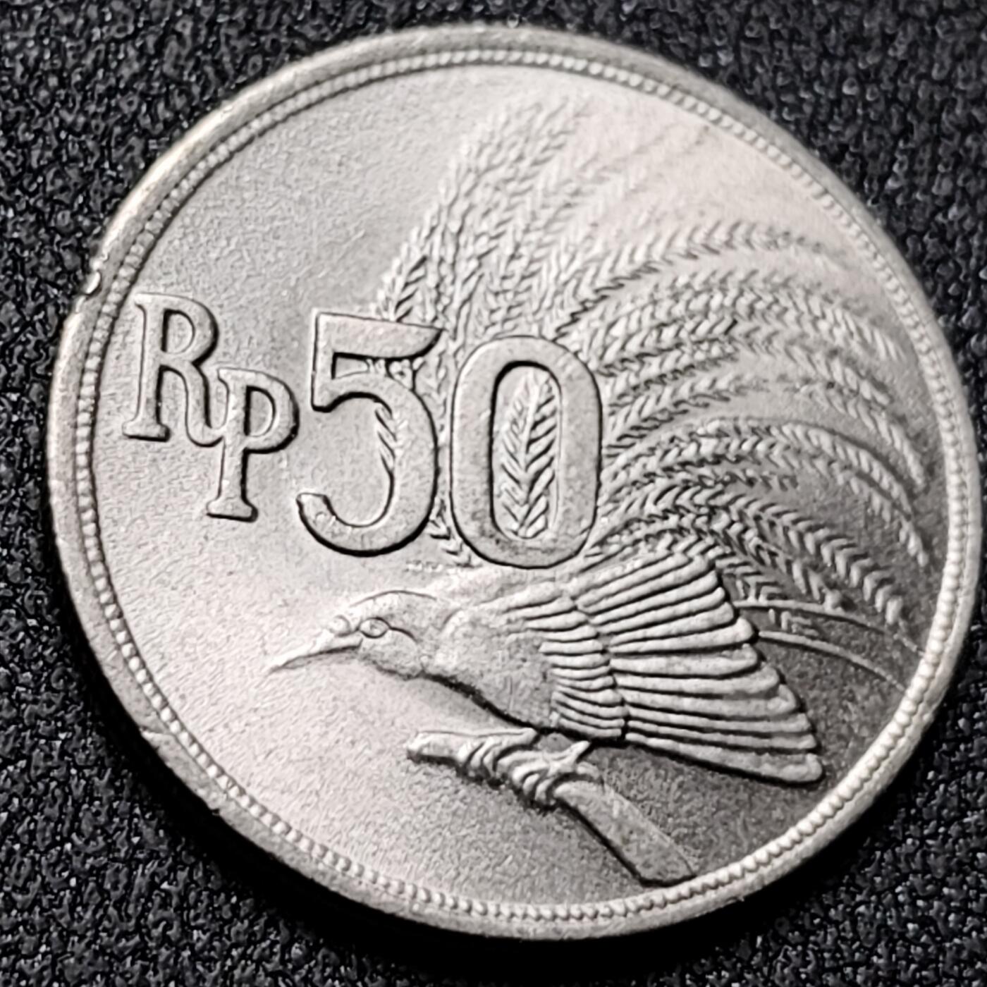 泉币菌-第138场-精品福利场（之前场次29日、30日发货，敬请谅解） 。