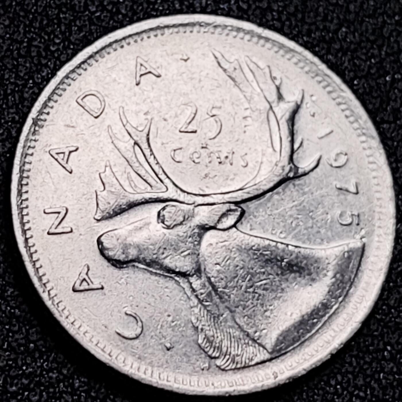 泉币菌-第137场-精品福利场（之前场次29日、30日发货，敬请谅解） 。