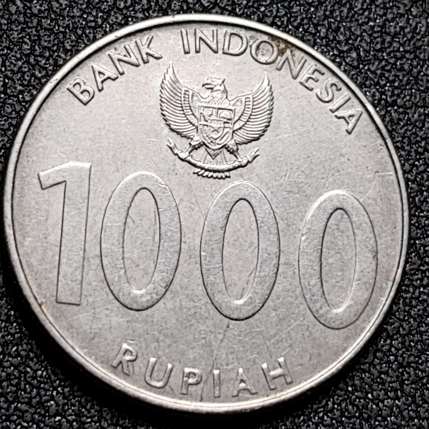 泉币菌-第136场-精品福利场（之前场次29日、30日发货，敬请谅解） 。