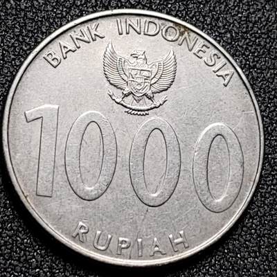 泉币菌-第136场-精品福利场（之前场次29日、30日发货，敬请谅解） - 。