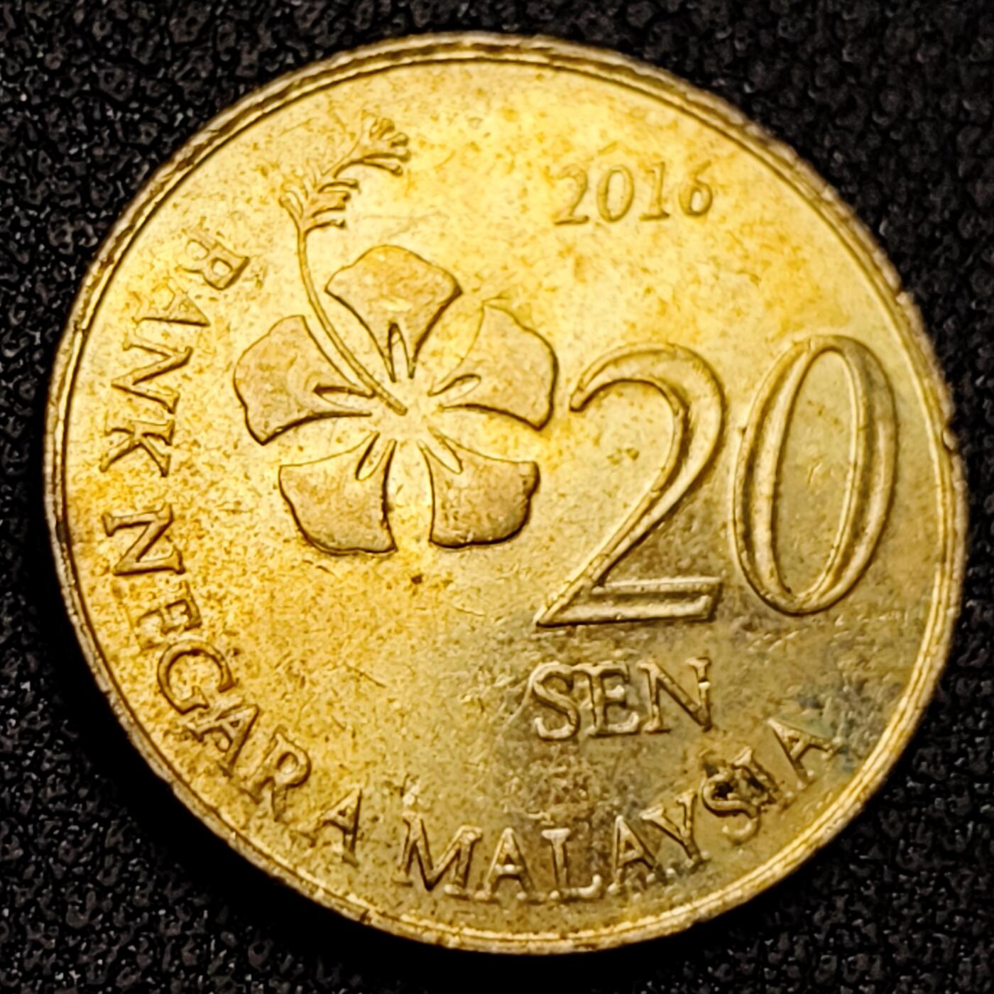 泉币菌-第138场-精品福利场（之前场次29日、30日发货，敬请谅解） 。