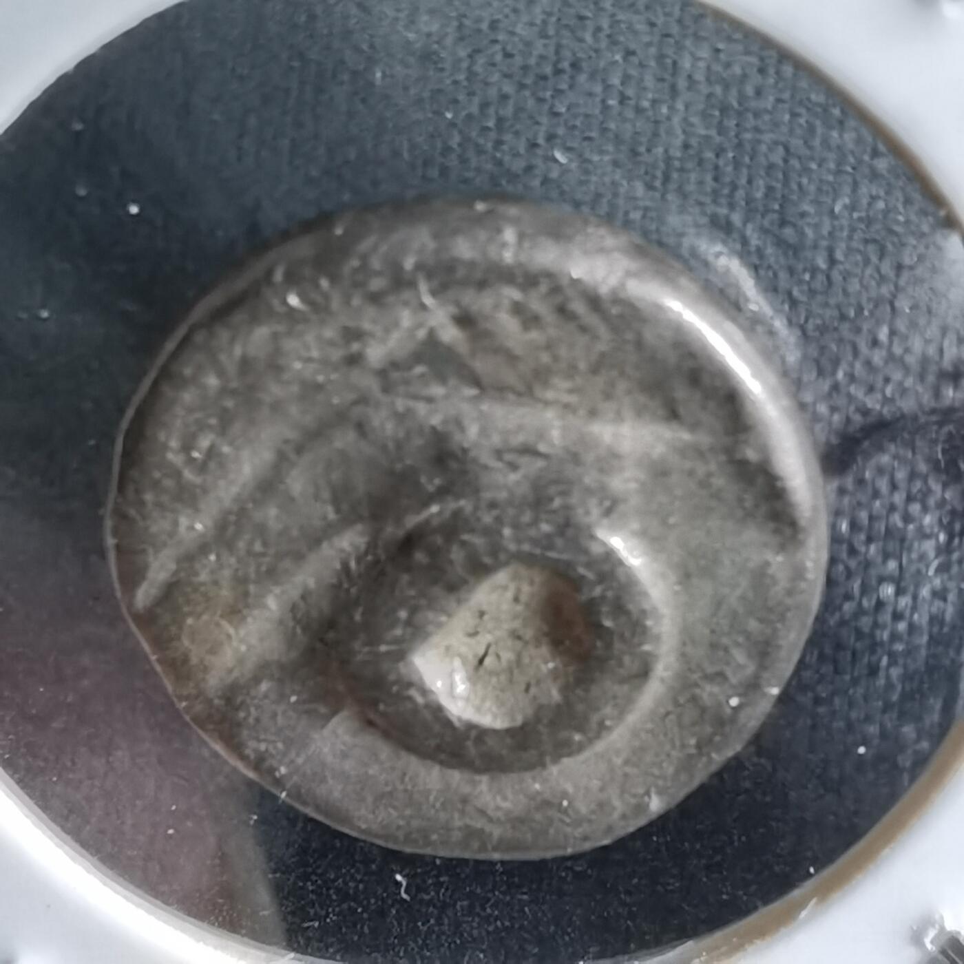 沼泽如烟--第913场 三佛齐王国银币