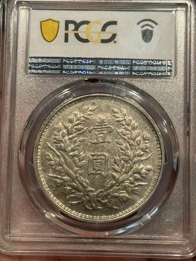 币然PCGS机制币专场 PCGS Au50云南版大头