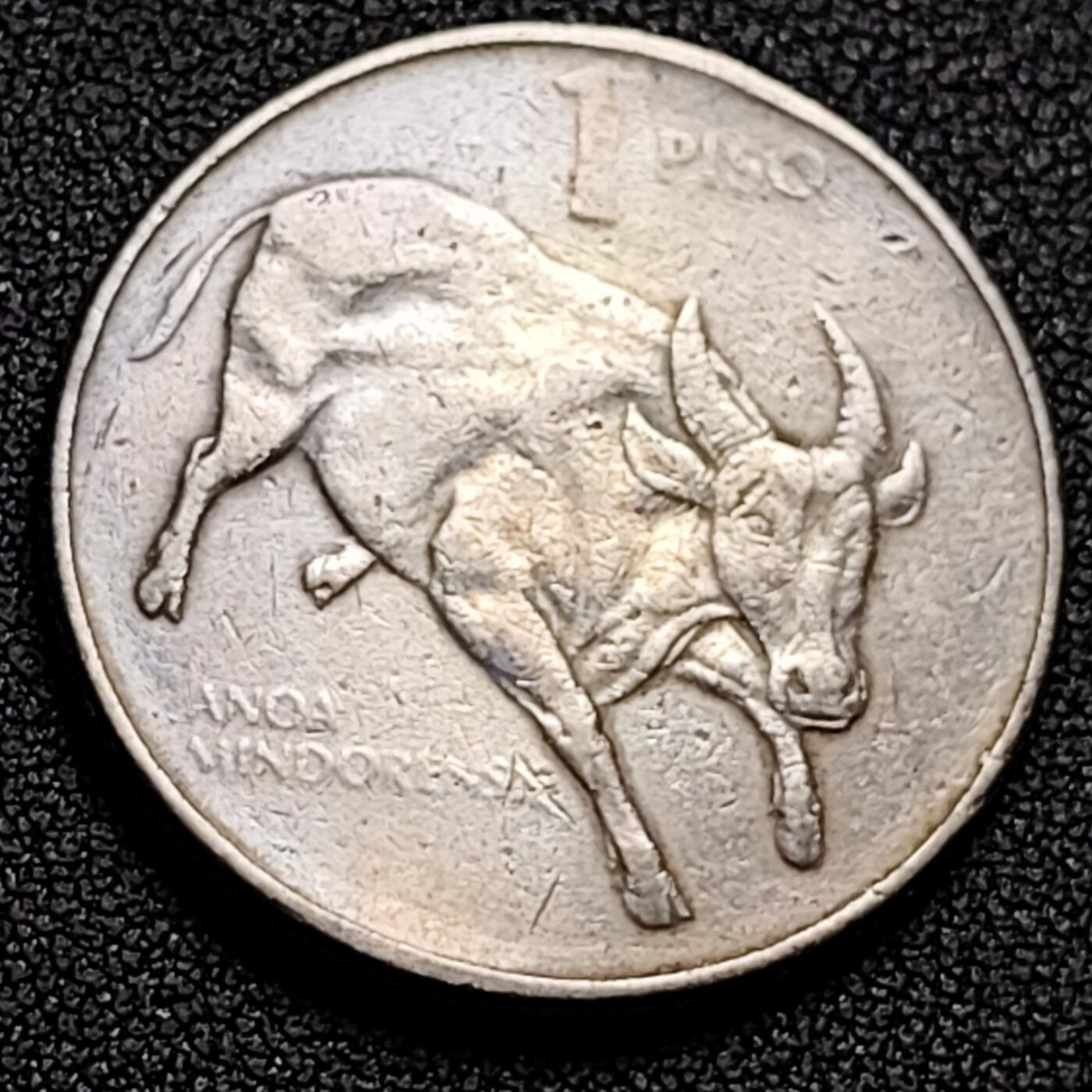 泉币菌-第137场-精品福利场（之前场次29日、30日发货，敬请谅解） 。