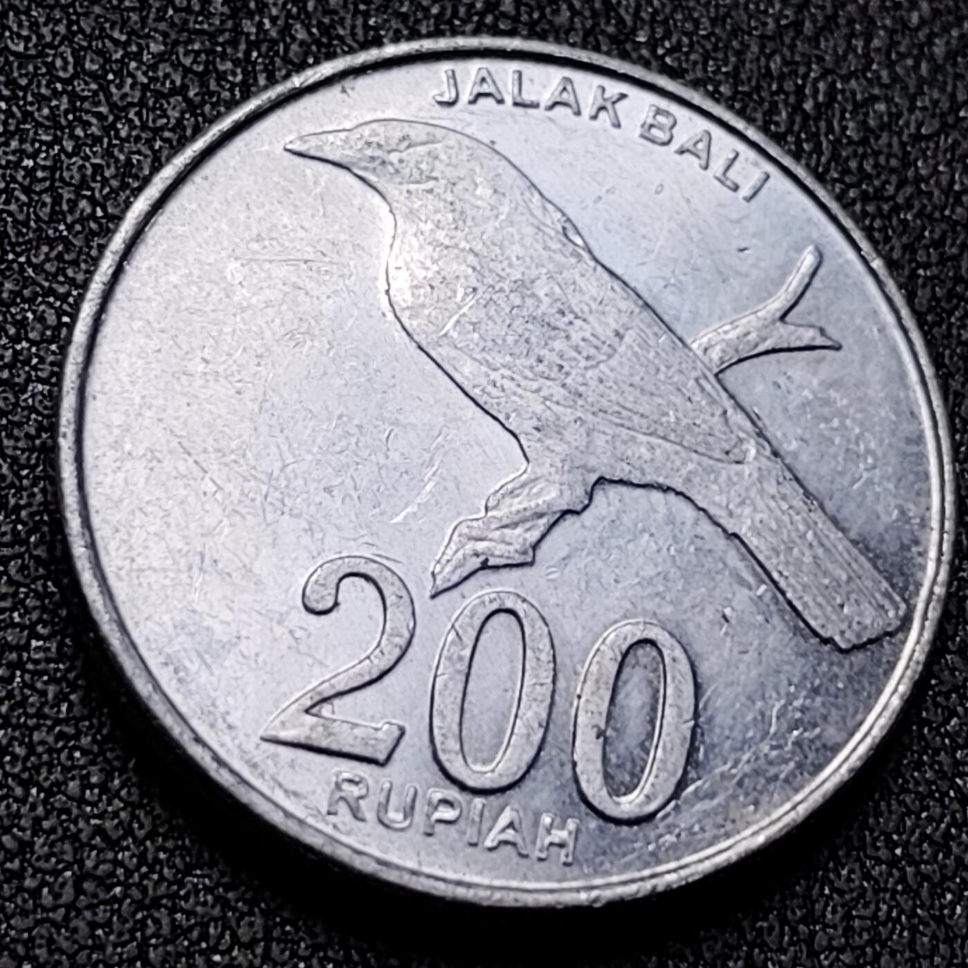 泉币菌-第138场-精品福利场（之前场次29日、30日发货，敬请谅解） 。