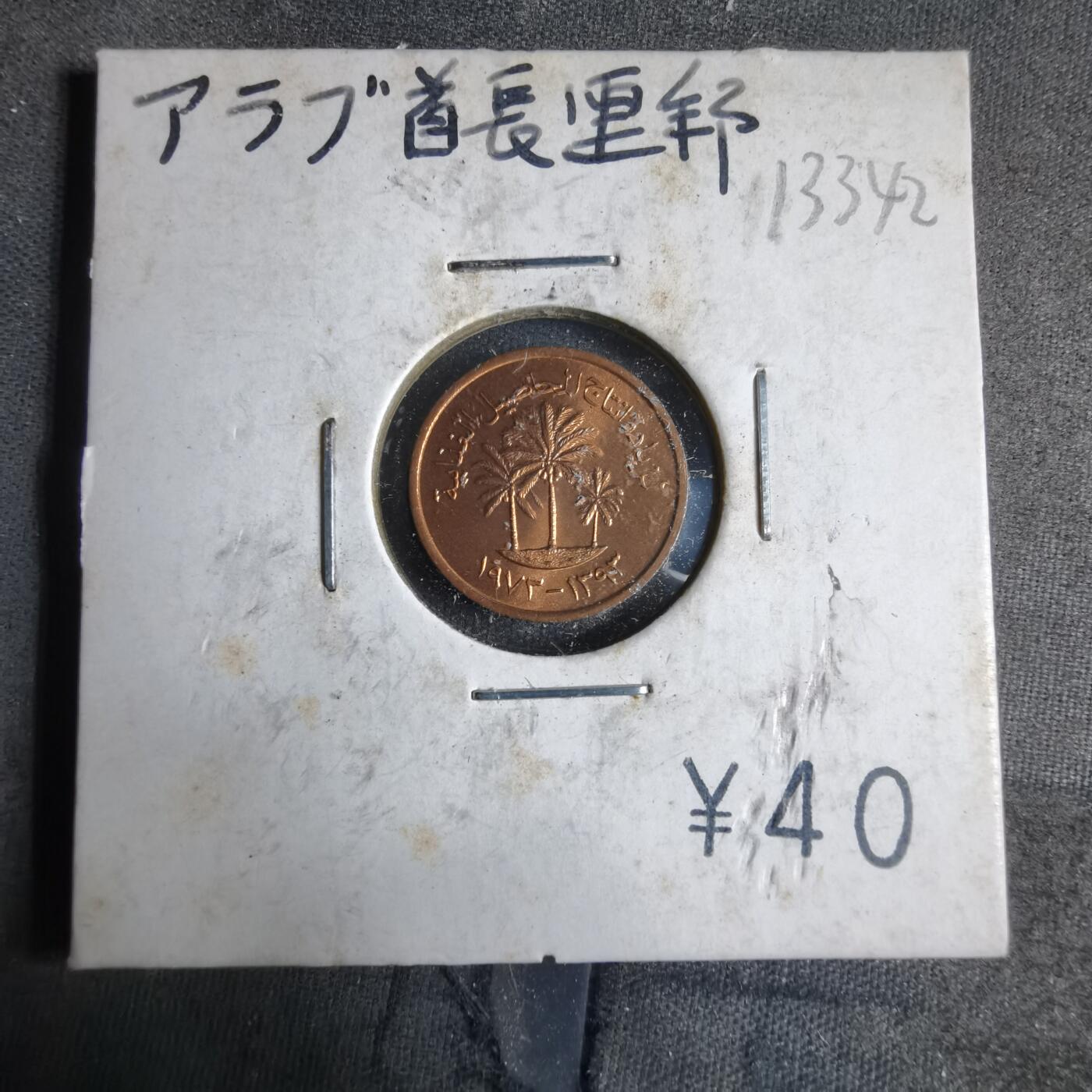 沼泽如烟--第913场 阿联酋