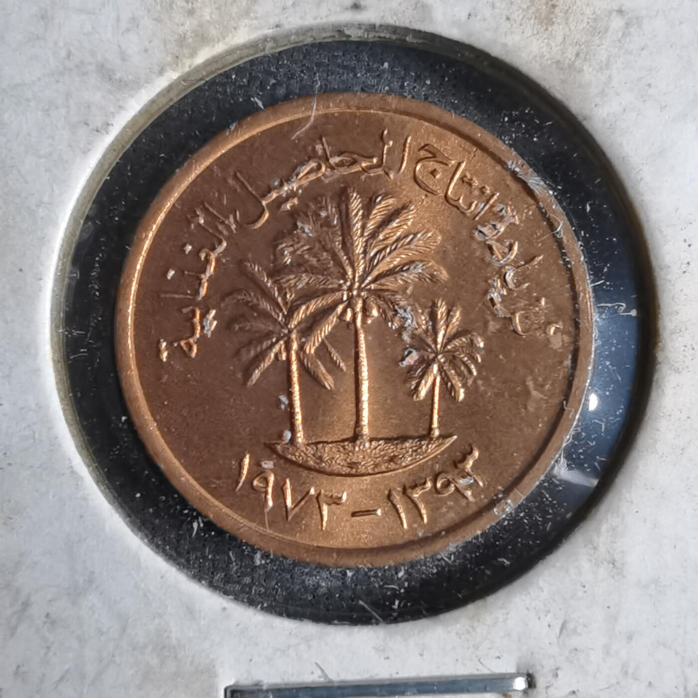 沼泽如烟--第913场 阿联酋