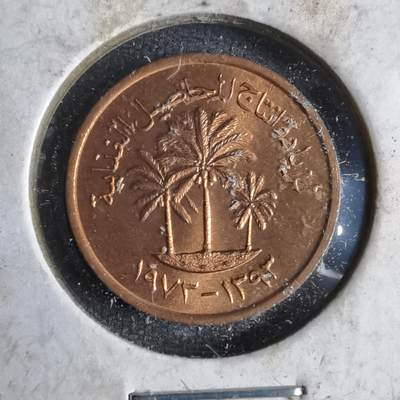 沼泽如烟--第913场 - 阿联酋