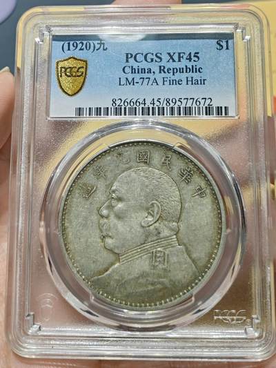 币然PCGS机制币专场 - PCGS XF45原味九精满发丝