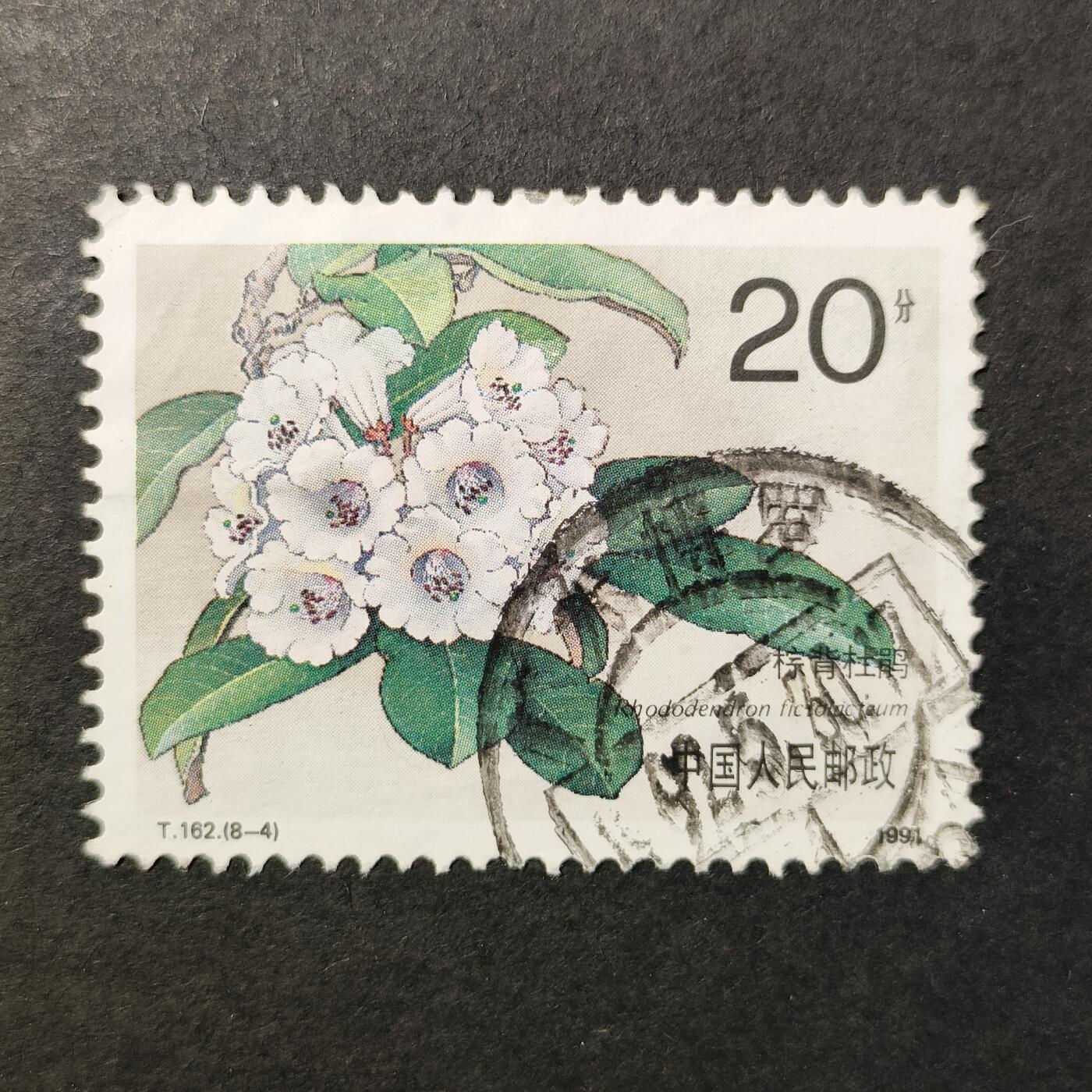 嘉禾收藏    【第387期】            无佣金、可寄存、满30元包邮 中国🇨🇳