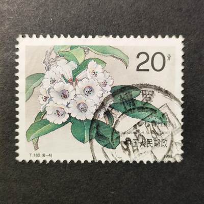 嘉禾收藏    【第387期】            无佣金、可寄存、满30元包邮 - 中国🇨🇳