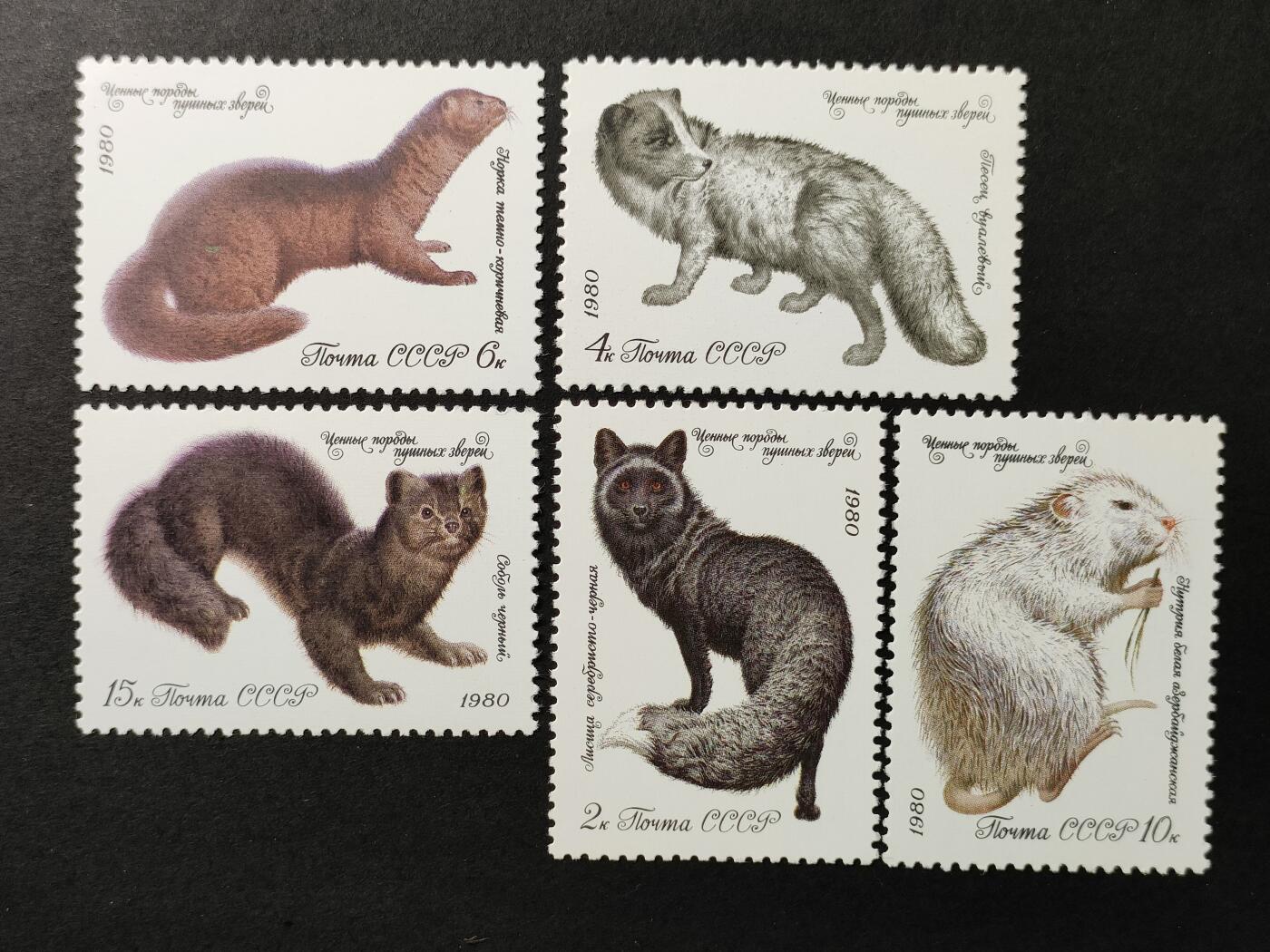 ↓君缘收藏661期☞钱币邮品↓无佣金、可寄存、满30元包邮  苏联邮票，1980年珍贵的毛皮动物·水貂、紫貂等5全