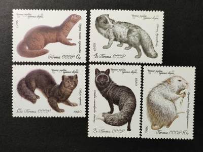 ↓君缘收藏661期☞钱币邮品↓无佣金、可寄存、满30元包邮  - 苏联邮票，1980年珍贵的毛皮动物·水貂、紫貂等5全