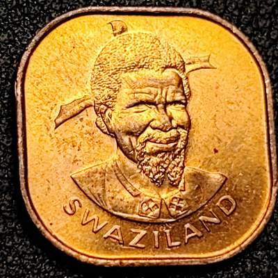 泉币菌-第137场-精品福利场（之前场次29日、30日发货，敬请谅解） -  