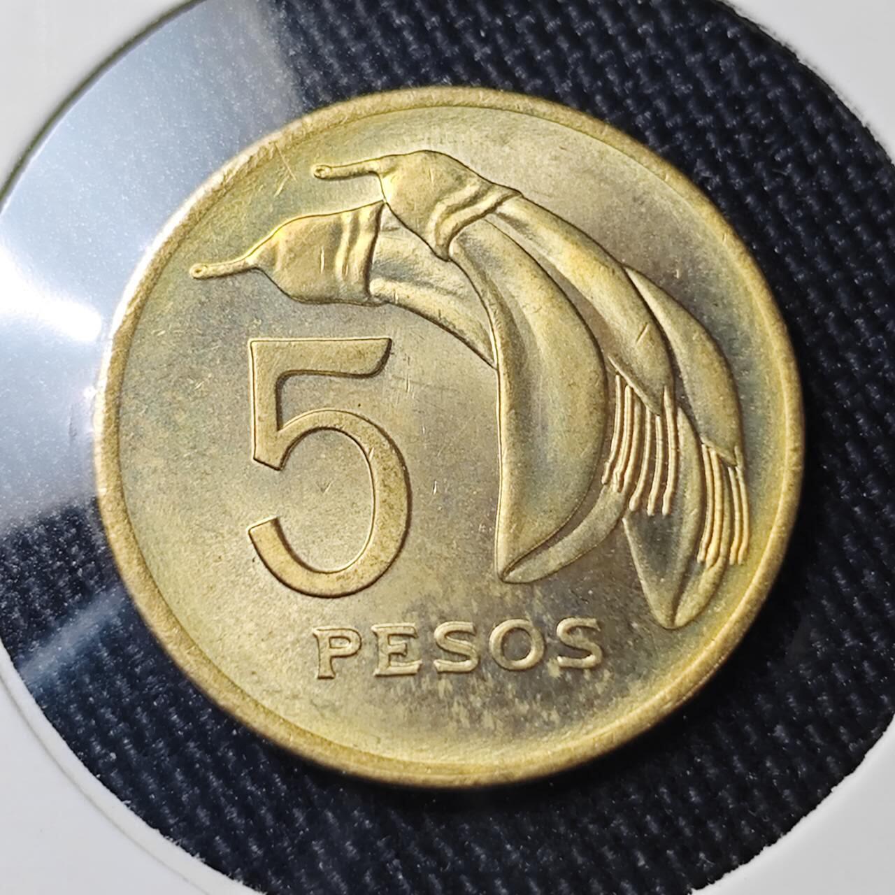 KK钱币收藏小铺 （套币 好品/批量散币 银币）专场  2月预留时间 周末发货  1969乌拉圭5比索 好品铜币