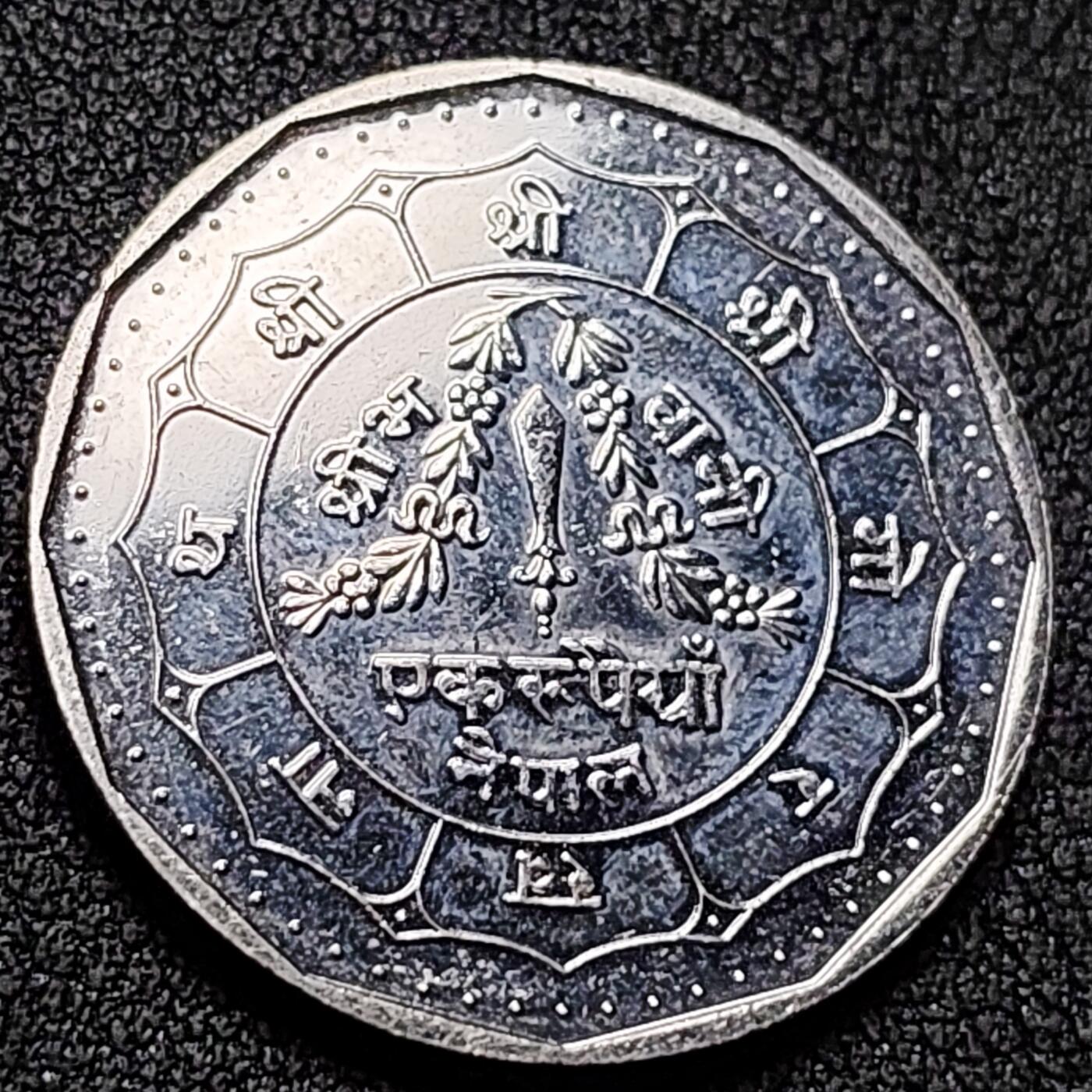 泉币菌-第138场-精品福利场（之前场次29日、30日发货，敬请谅解） 。