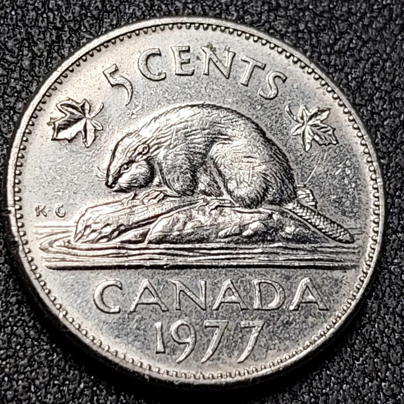 泉币菌-第138场-精品福利场（之前场次29日、30日发货，敬请谅解） 。