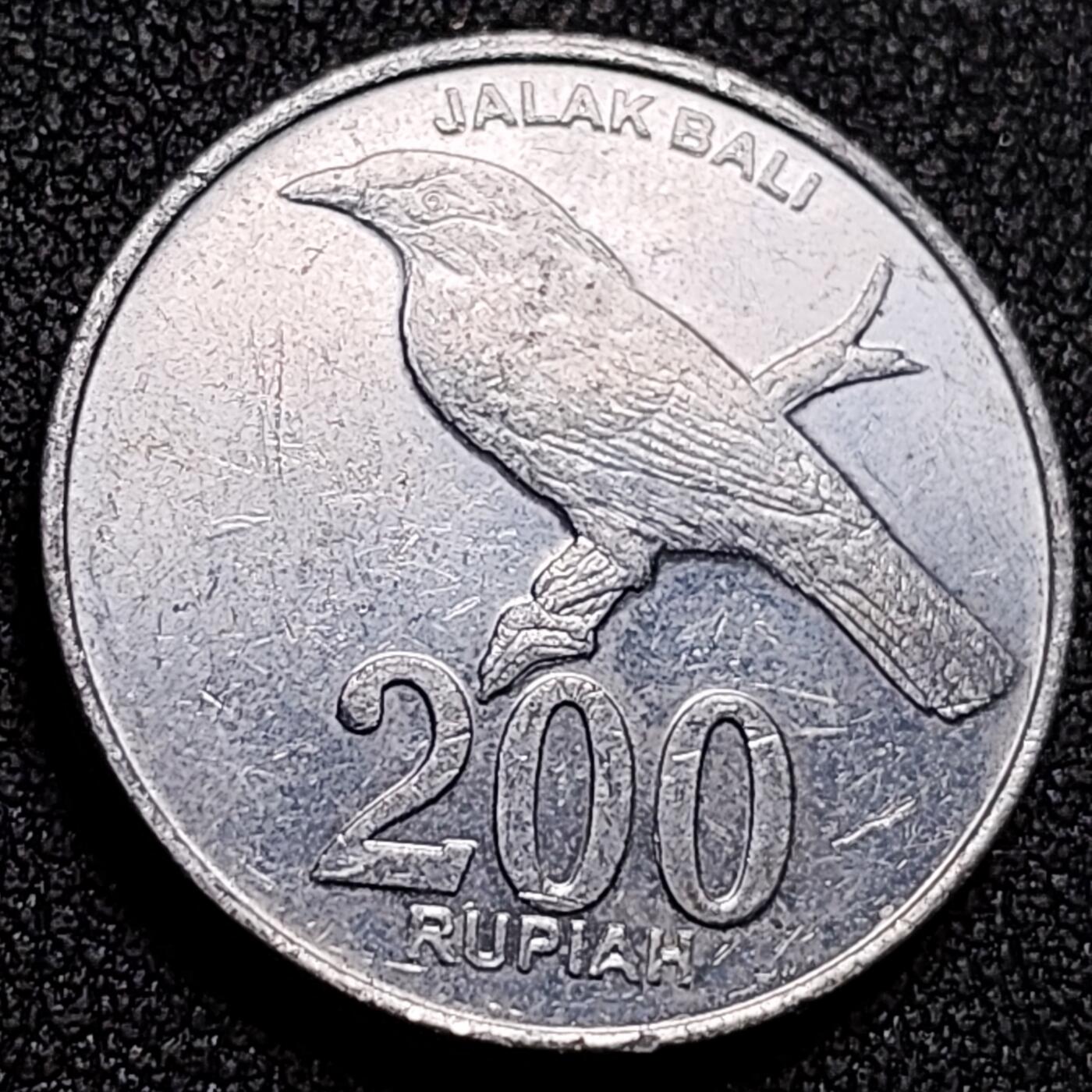 泉币菌-第136场-精品福利场（之前场次29日、30日发货，敬请谅解） 。