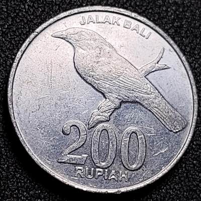 泉币菌-第136场-精品福利场（之前场次29日、30日发货，敬请谅解） - 。