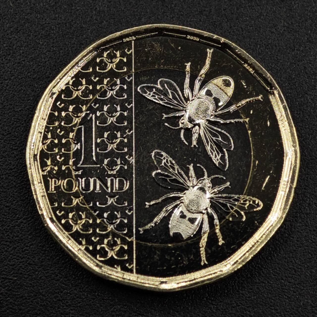 【淘币小摊】实时拍第八百零九拍   散币场   满百包邮可预留二周 每周一统一发货   英国2023年查尔斯三世1镑蜜蜂双色币全新品
