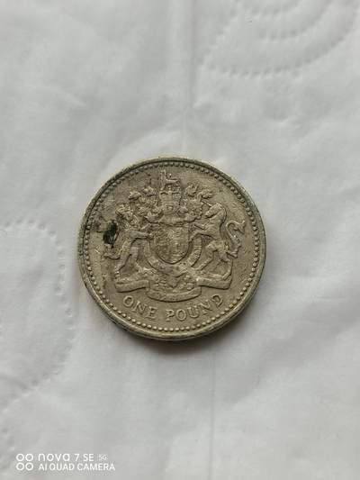 外国硬币 - 1993年1英镑