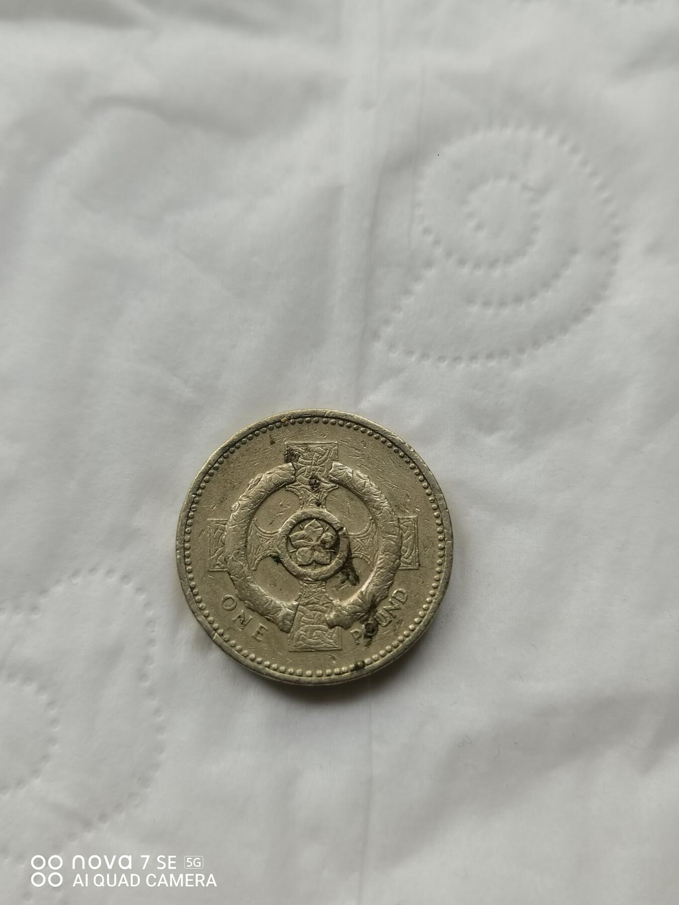 外国硬币 1英镑