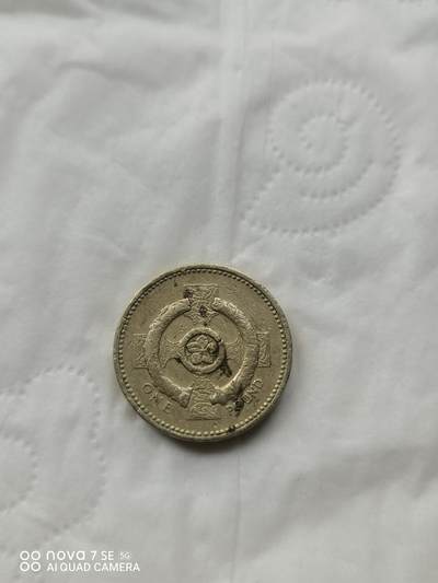 外国硬币 - 1英镑