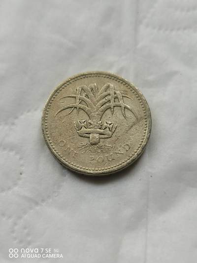 外国硬币 - 1990年1英镑