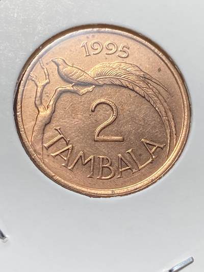 2025年第一百三十二场(总第一百五十八场）外国好品纸夹散币场(免佣金) - 马拉维🇲🇼1995年2坦巴拉(第四套第二版，青铜材质无磁版)