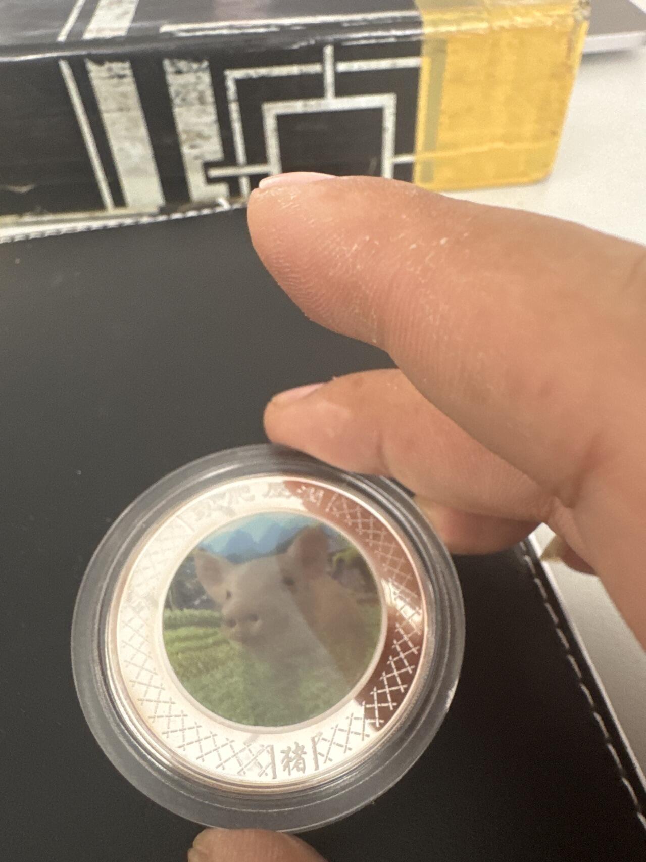 ❤️【币观天下】❤️ 第332期钱币拍卖- 2025.11.28周五晚上6点半场-长期征集拍品 澳大利亚猪年彩色银币