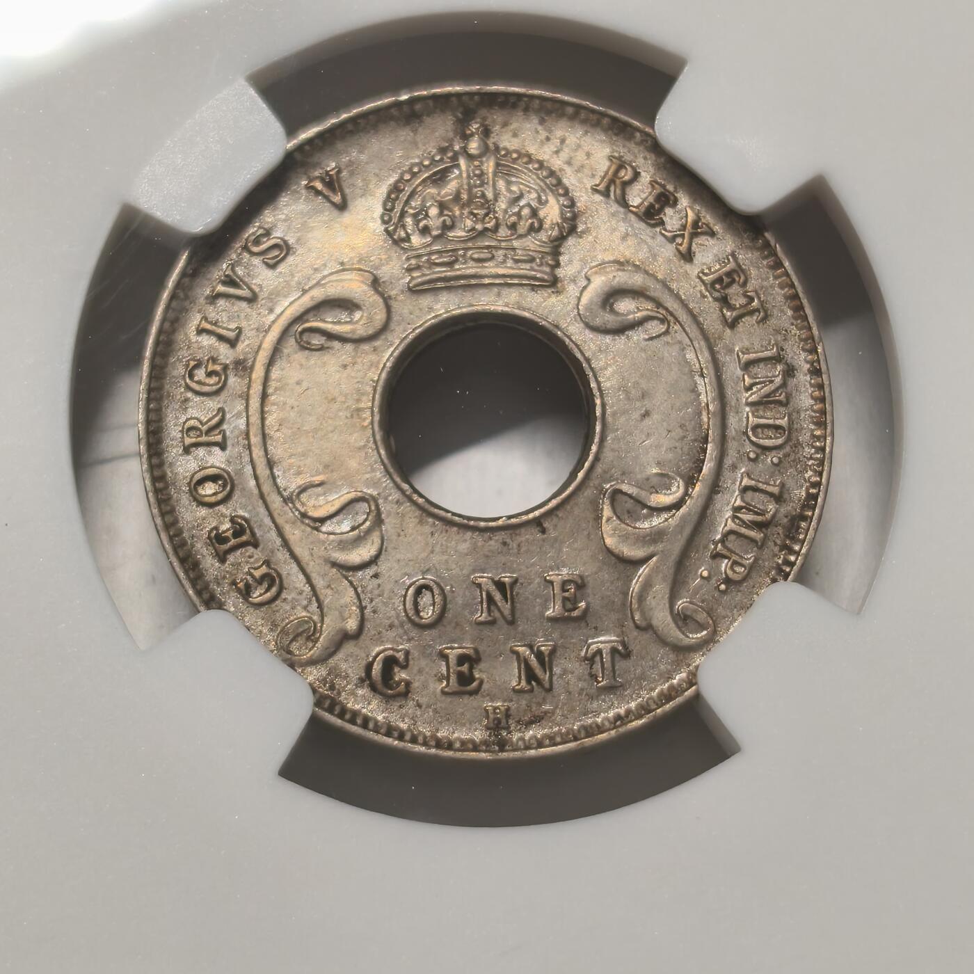 老蟹的宝藏🏴‍☠️ IV