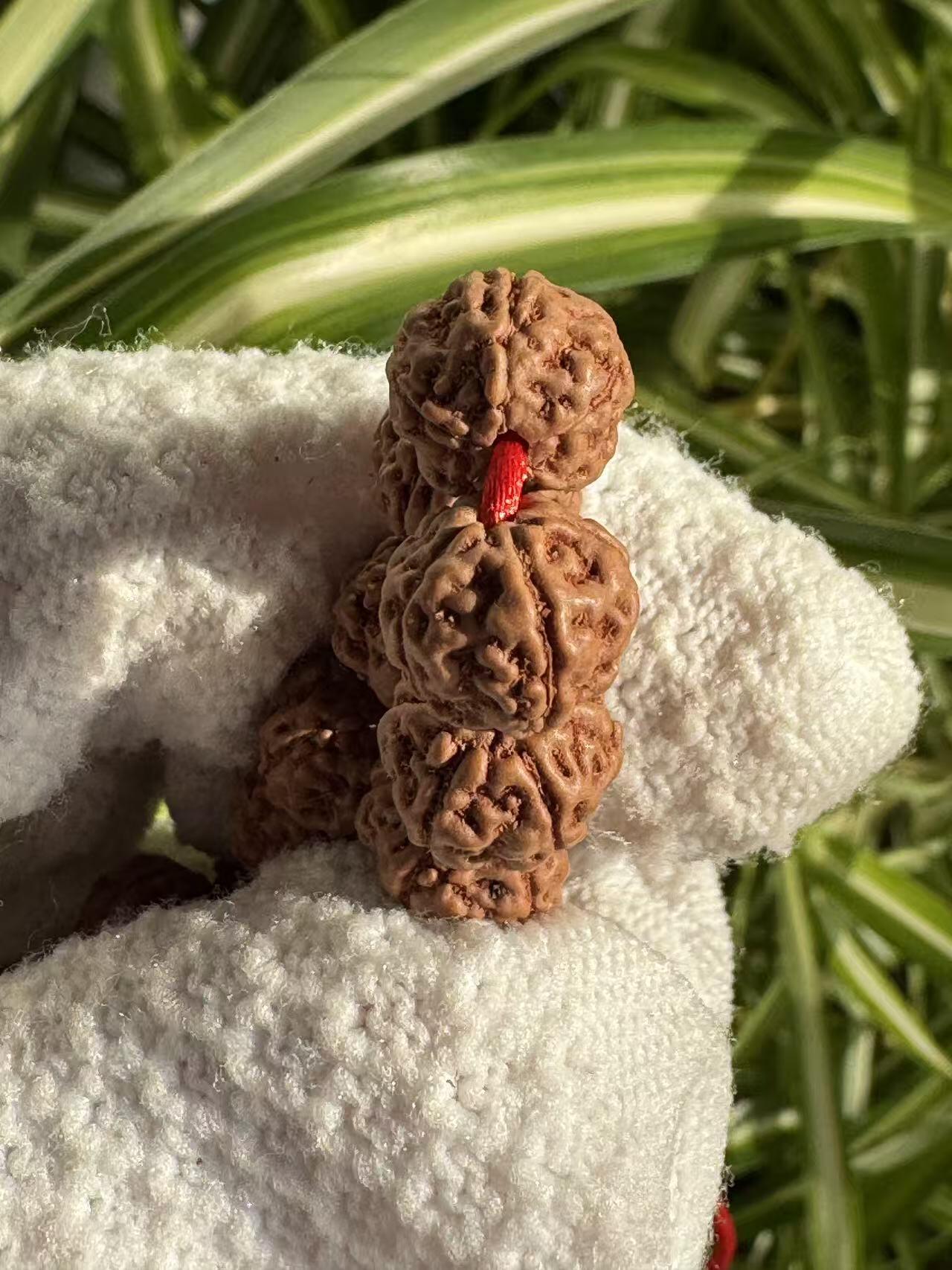 零元拍：超肉红皮屠龙梅花矮桩小金刚108/10MM 长串