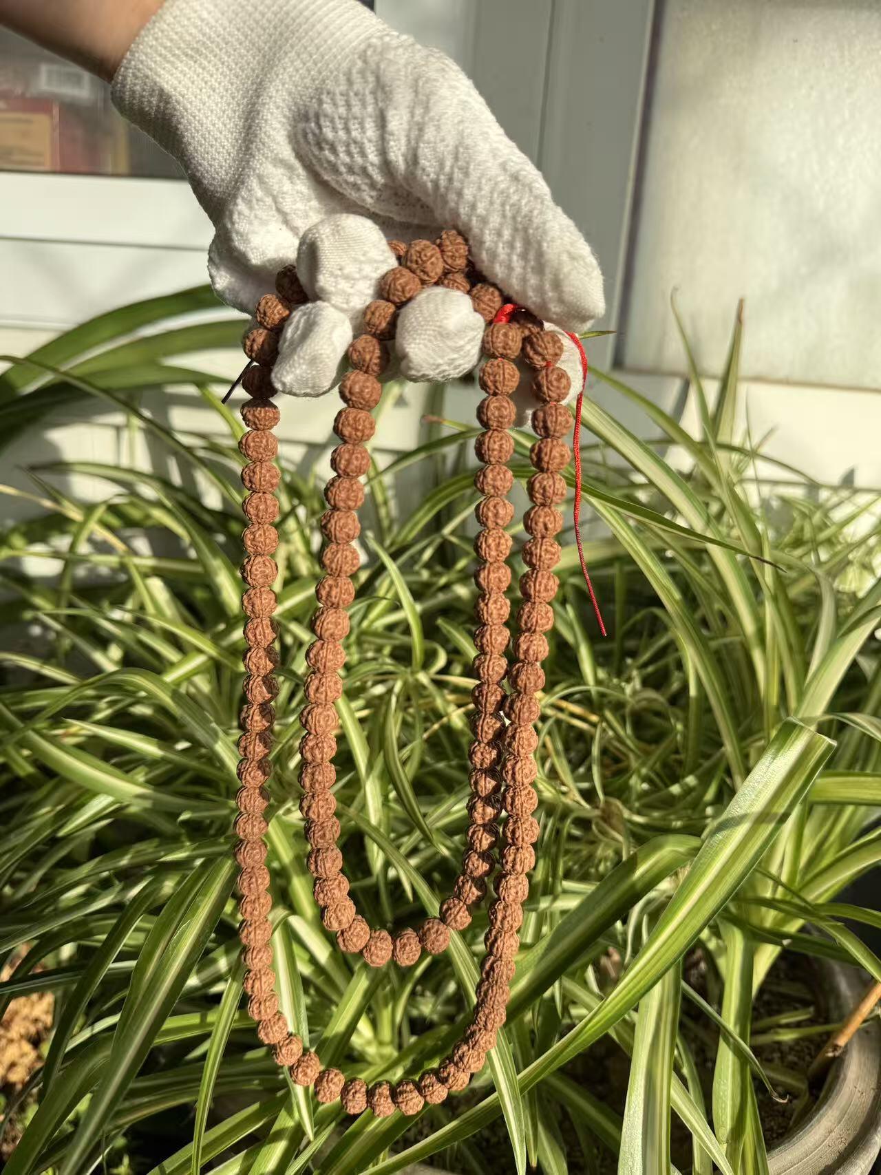 零元拍：超肉红皮屠龙梅花矮桩小金刚108/10MM 长串