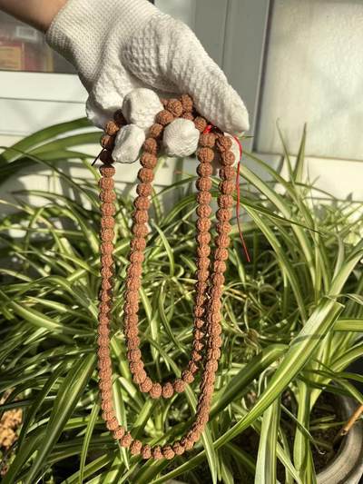 零元拍：超肉红皮屠龙梅花矮桩小金刚108/10MM 长串 - 零元拍：超肉红皮屠龙梅花矮桩小金刚108/10MM 长串