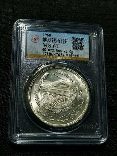 天下钱庄专场欢迎参拍 - 埃及1磅银币