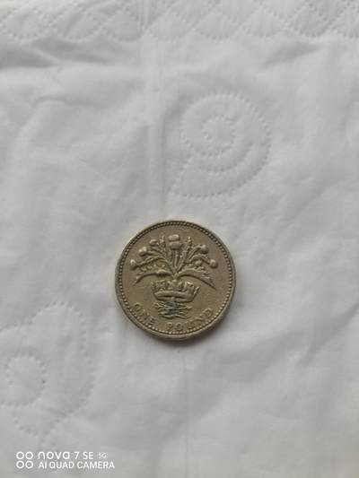 外国硬币 - 1984年1英镑