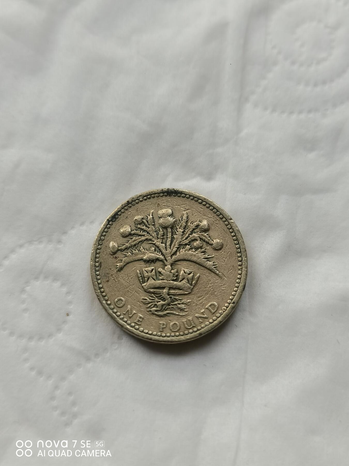 外国硬币 1984年1英镑