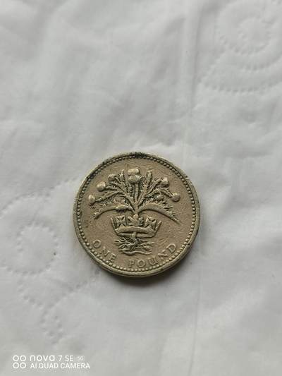 外国硬币 - 1984年1英镑