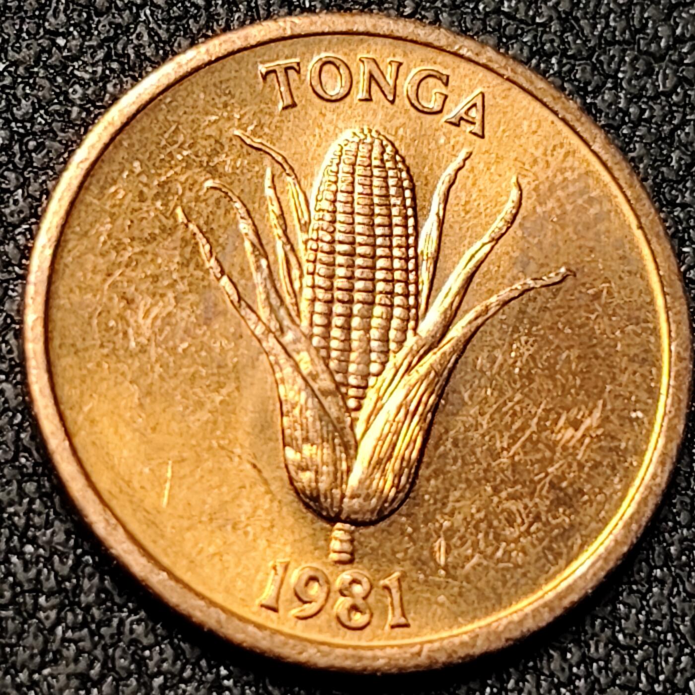 泉币菌-第140场-精品福利场（之前场次29日、30日发货，敬请谅解） 。