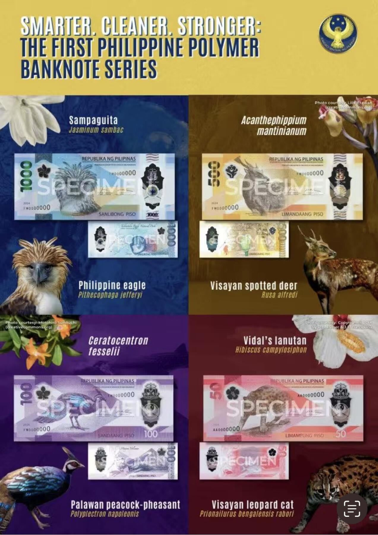 【礼羽收藏】🌏世界钱币拍卖第113期 PMG70⭐ 菲律宾100比索 2024年IACA获奖钞 AA冠 无47