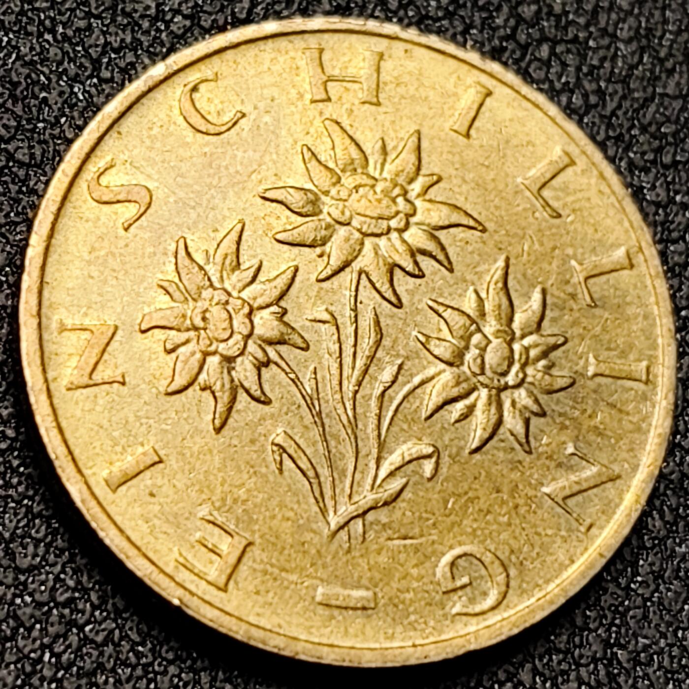 泉币菌-第139场-精品福利场（之前场次29日、30日发货，敬请谅解） 。