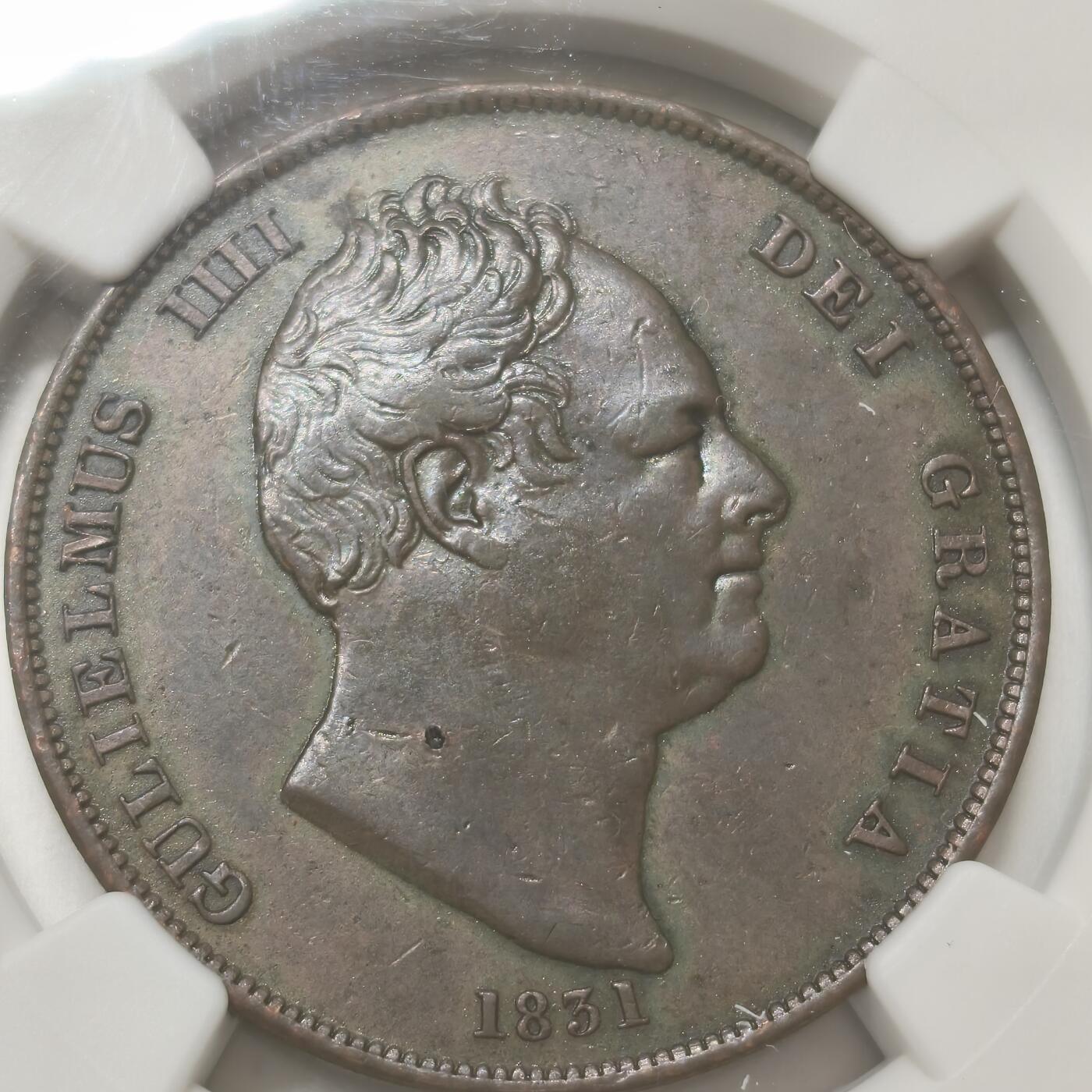 老蟹的宝藏🏴‍☠️ IV NGC AUD 1831年英国威廉四世1便士