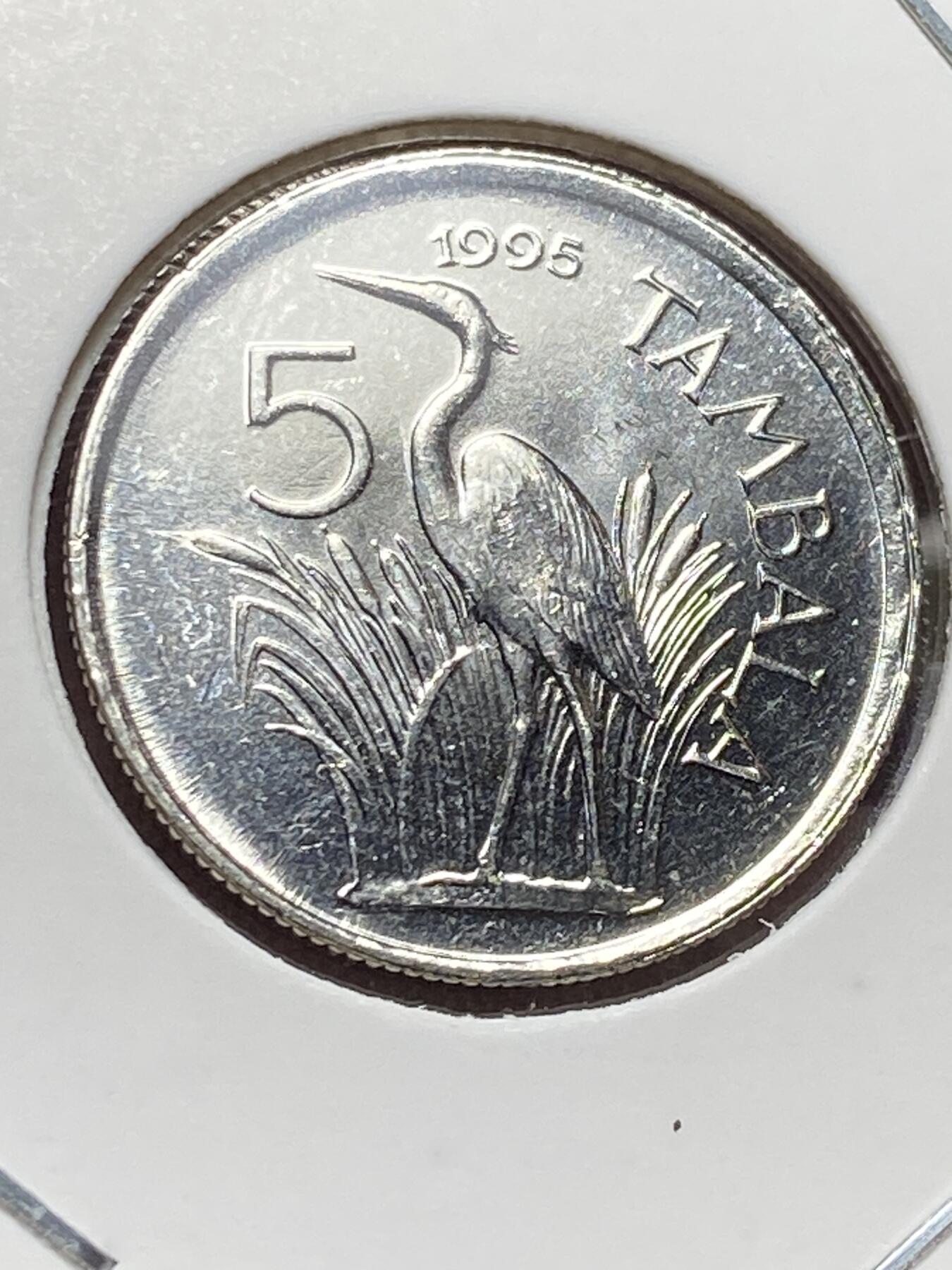 2025年第一百三十二场(总第一百五十八场）外国好品纸夹散币场(免佣金) 马拉维🇲🇼1995年5坦巴拉(第四套第二版，首发年)