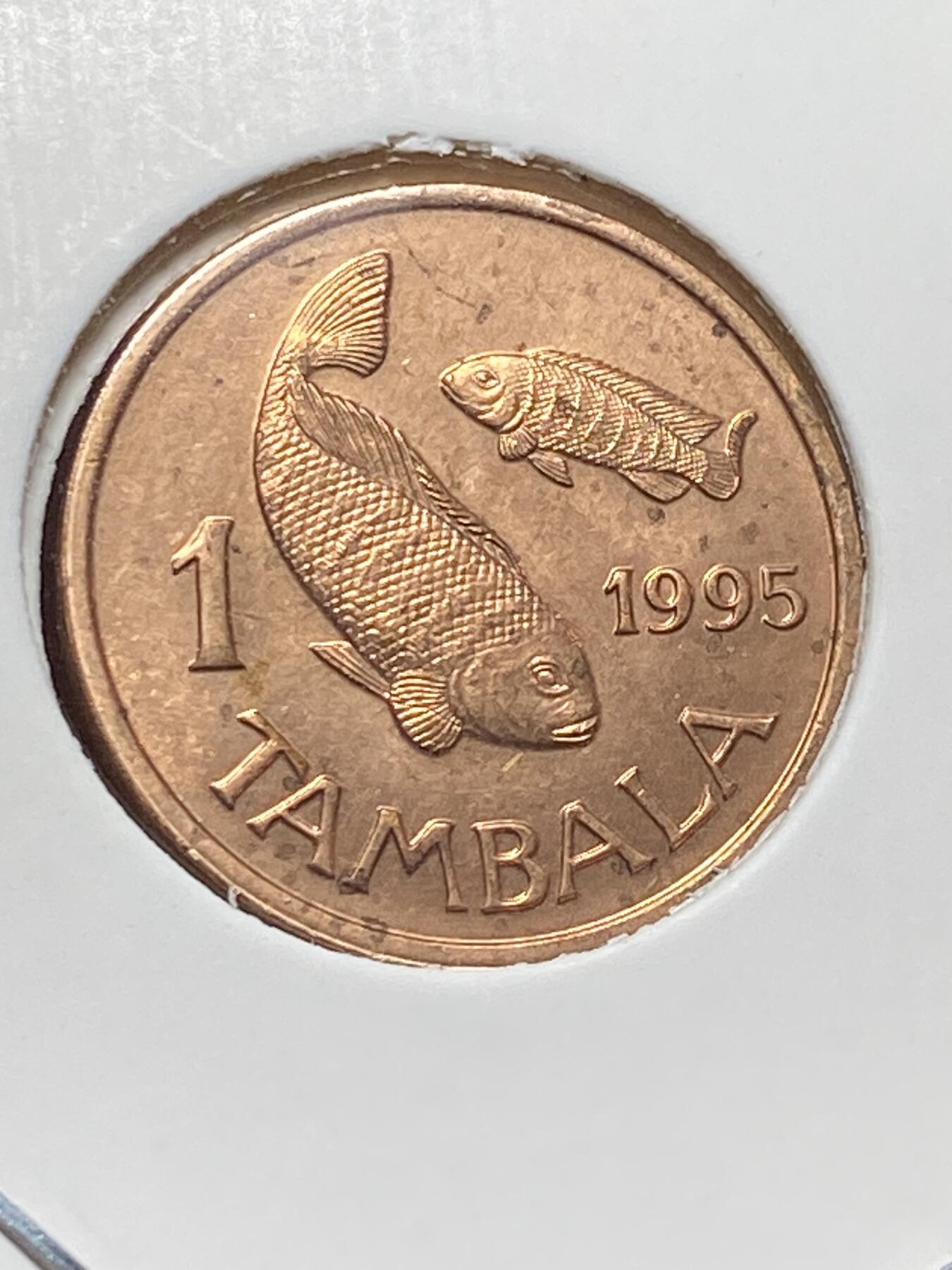 2025年第一百三十二场(总第一百五十八场）外国好品纸夹散币场(免佣金)