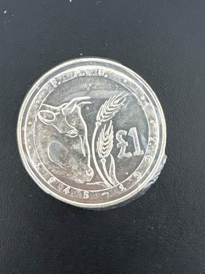 ❤️【币观天下】❤️ 第332期钱币拍卖- 2025.11.28周五晚上6点半场-长期征集拍品 - 塞浦路斯1995年FAO1镑